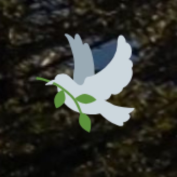 Experience a Winter Wonderland in Gulmarg – Skiing & Snowboarding