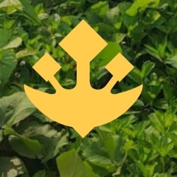 Discover the Hidden Gems