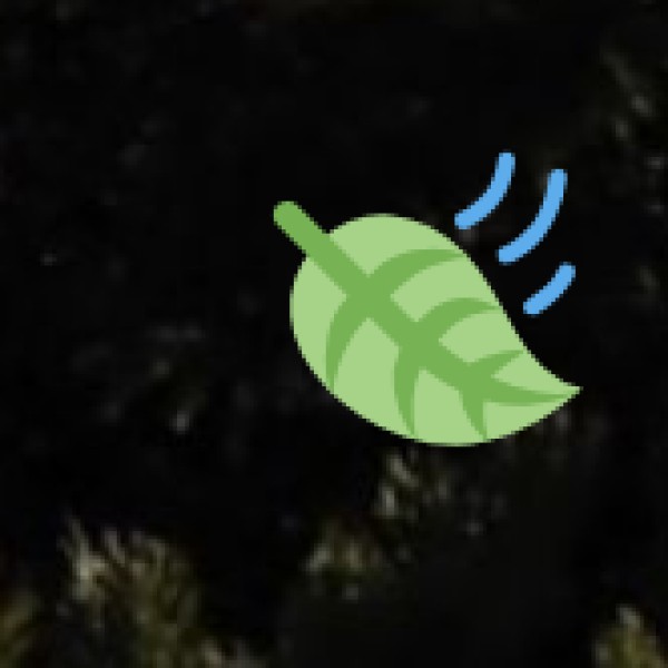 Moti Daman Lighthouse Trail