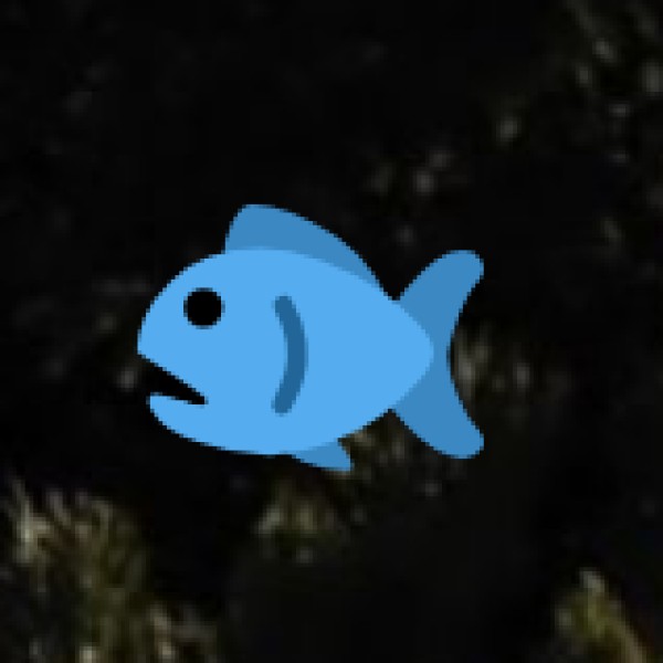 Vanakbara Fishing Village (Diu)