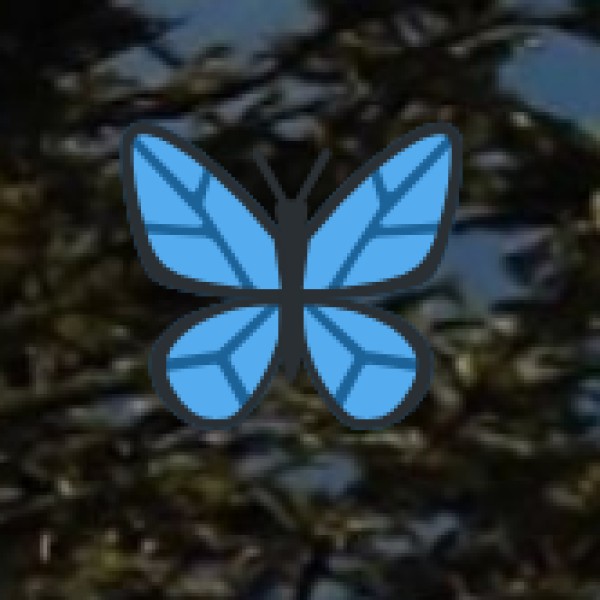 Future of Tourism in Lakshadweep