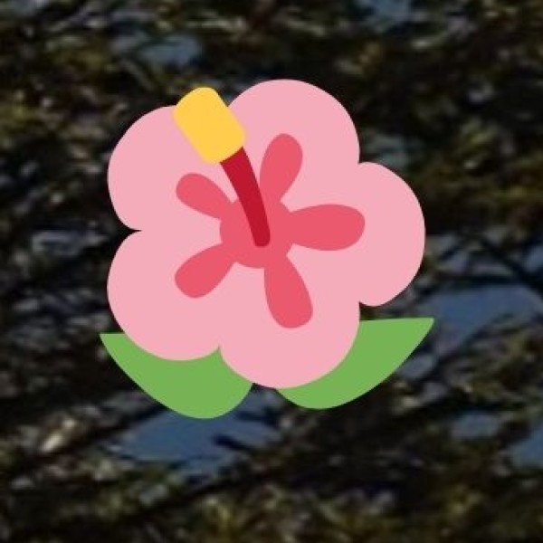 Tutnyu & Hunli – Dibang Valley