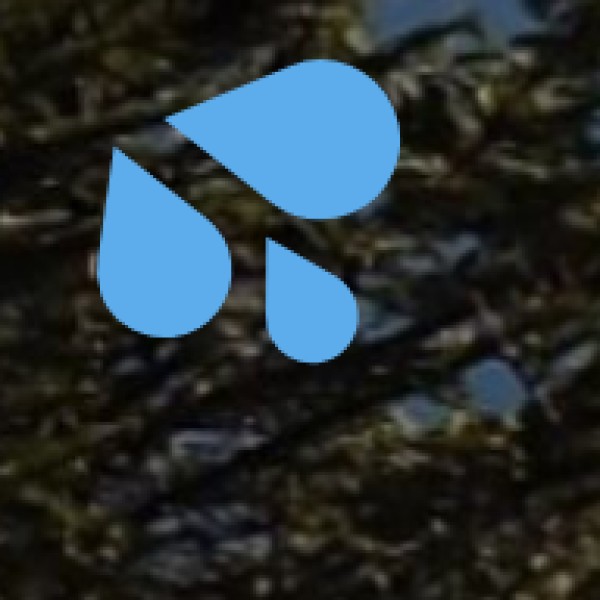 Taptapani Hot Springs