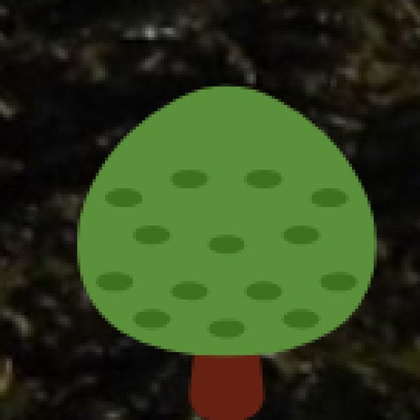 Why Visit These Offbeat Places?