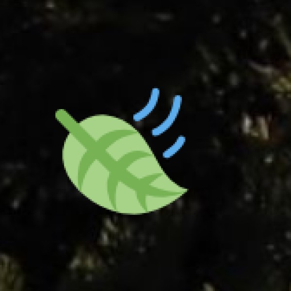 Heritage Walks – Discover Delhi’s Lesser-Known History