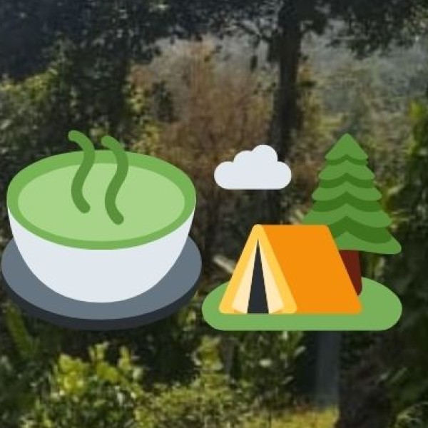 The Backyard Café (Daman) – The Best Night Café in Town