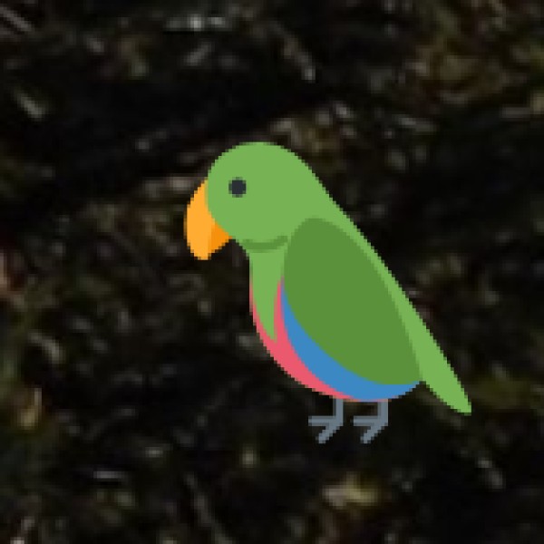 Pulicat Lake – A Hidden Birdwatcher’s Paradise