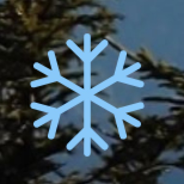 Kalpitti Island – A Hidden Snorkeling Spot