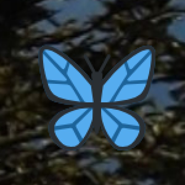 Mehao Lake – The Pristine Forest Lake