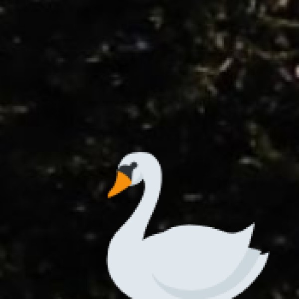 Wetlands & Birdwatching Sites