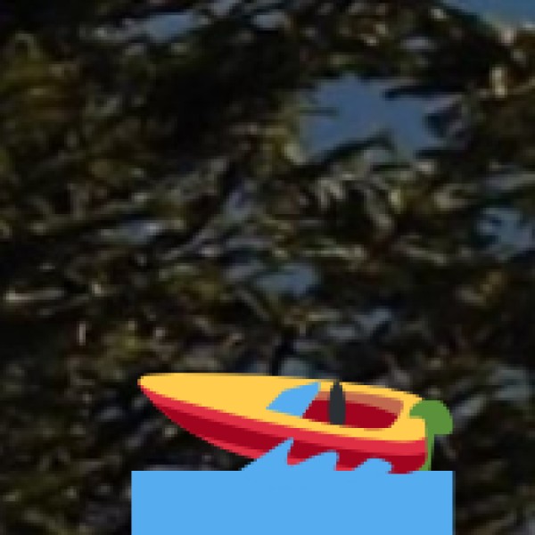 Karanji Lake – Mysuru