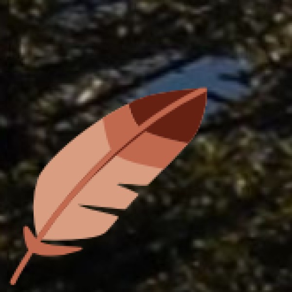 • Gabbar Hill (Ambaji):