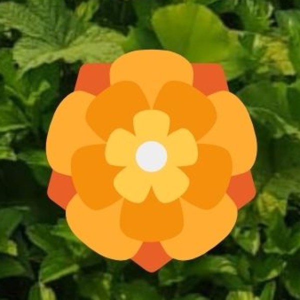 • Dawki & Umngot River: