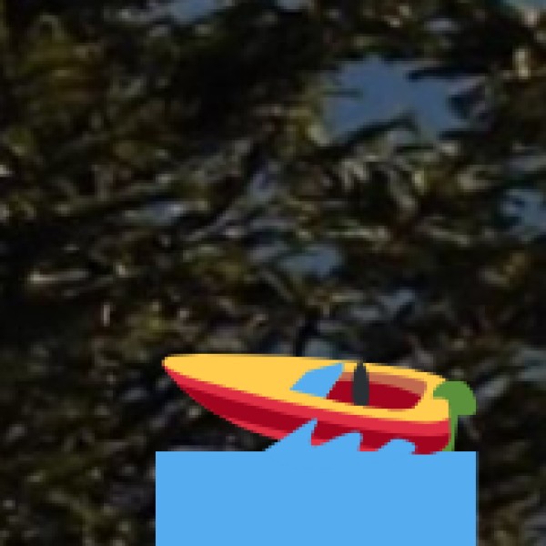 Thol Lake (Mehsana district, near Ahmedabad)