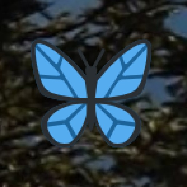 • Mawkdok Dympep Valley Viewpoint (Duwan Sing Syiem Bridge Viewpoint):