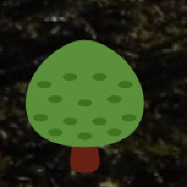 Khonoma – Eco Village with Scenic Overlooks