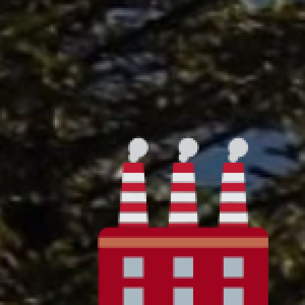 Conservation & Challenges