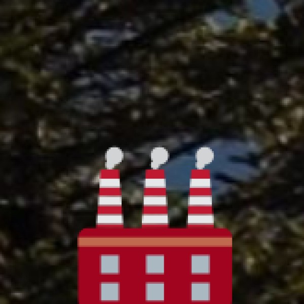 Kabini Backwaters – Nagarahole