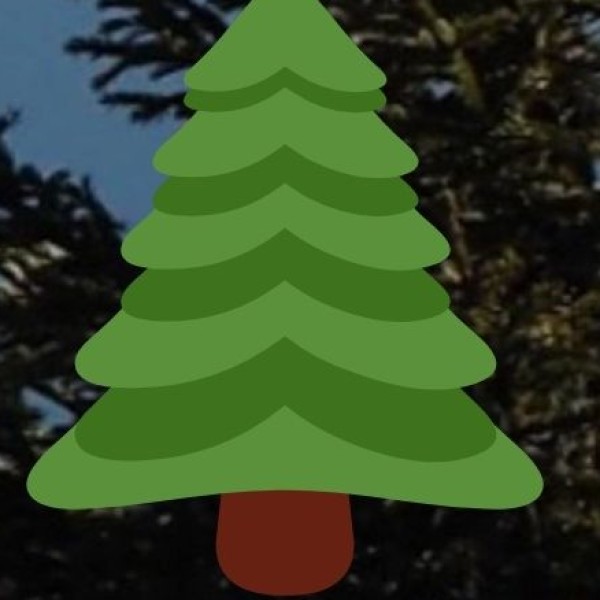 Scenic Viewpoints and Natural Beauty Spots in Gujarat