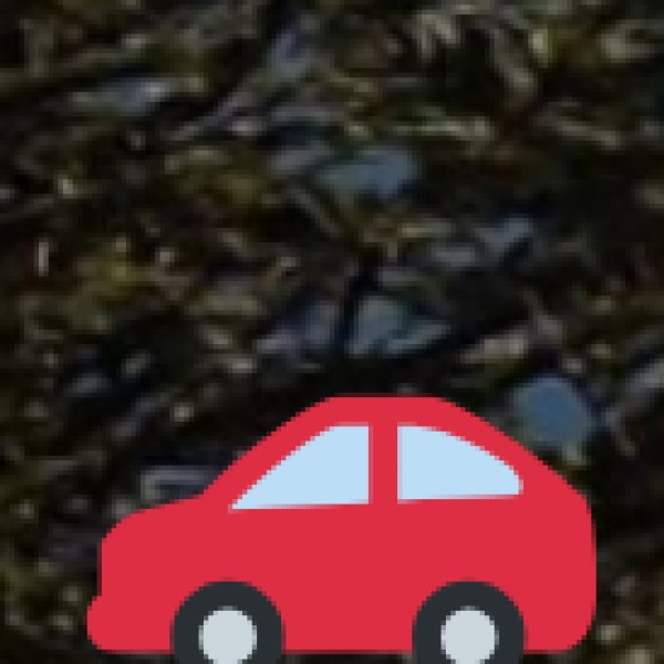 Best for Road Trips & Scenic Drives