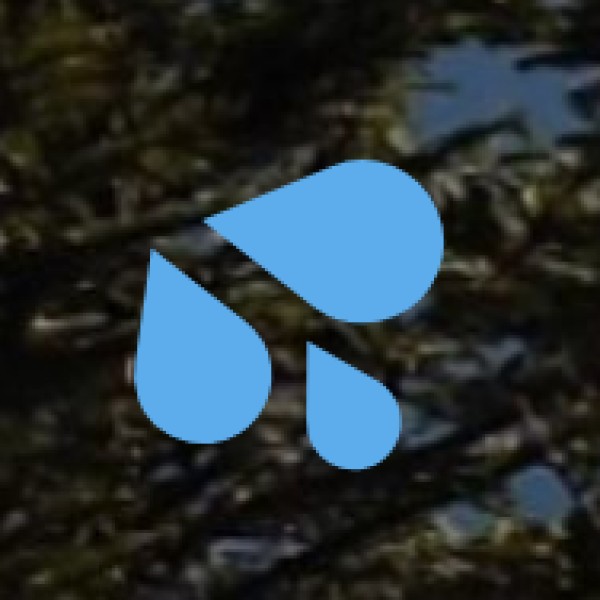 Prashar Lake – Mandi District