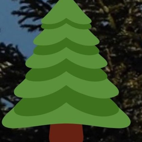 • Pavagadh Hill (Champaner):