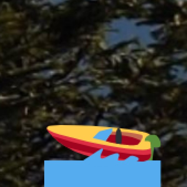 Rajsamand Lake – Rajsamand