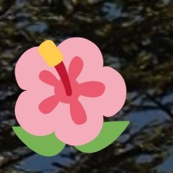 Scenic Viewpoints & Natural Landscapes