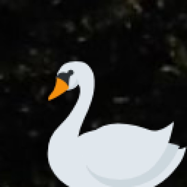 Biodiversity and Birdwatching