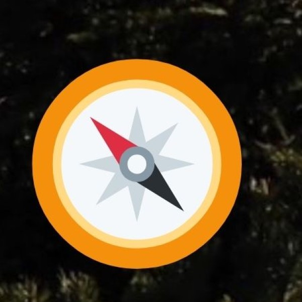 GOVERNMENT INITIATIVES