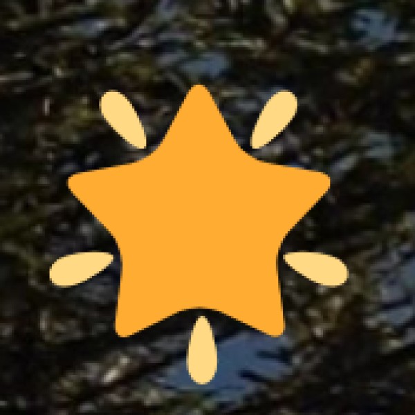 POPULAR ACTIVITIES FOR TOURISTS