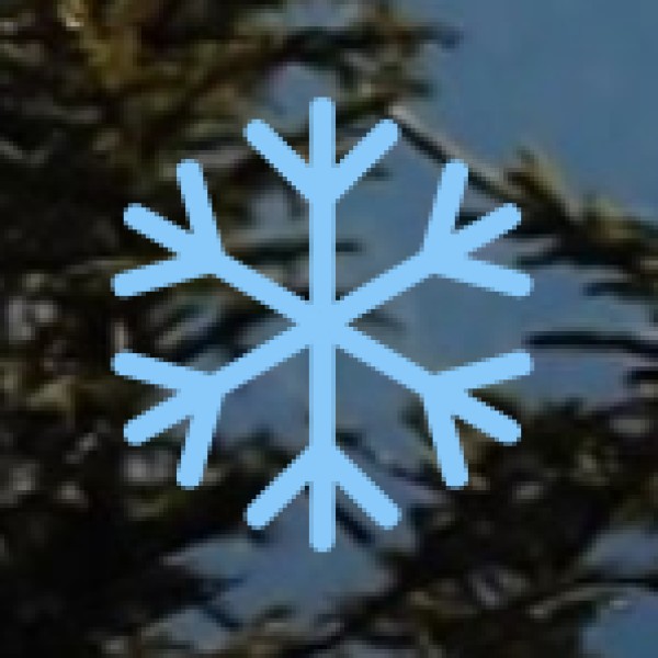 • Ghoghla Beach (Diu):