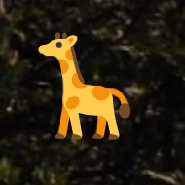 Kambalakonda Wildlife Sanctuary (Near Visakhapatnam)