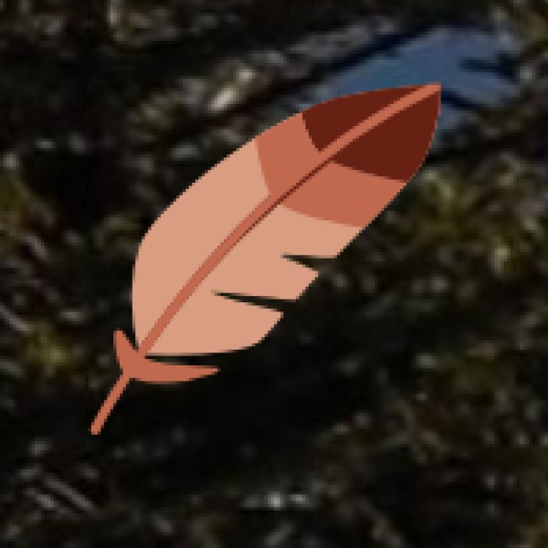 Breathtaking Scenic Viewpoints: