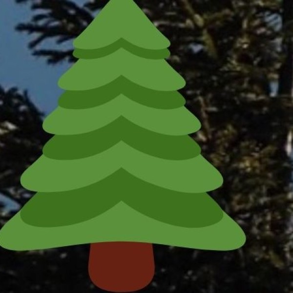 Ballavpur Wildlife Sanctuary – A Hidden Gem in Shantiniketan