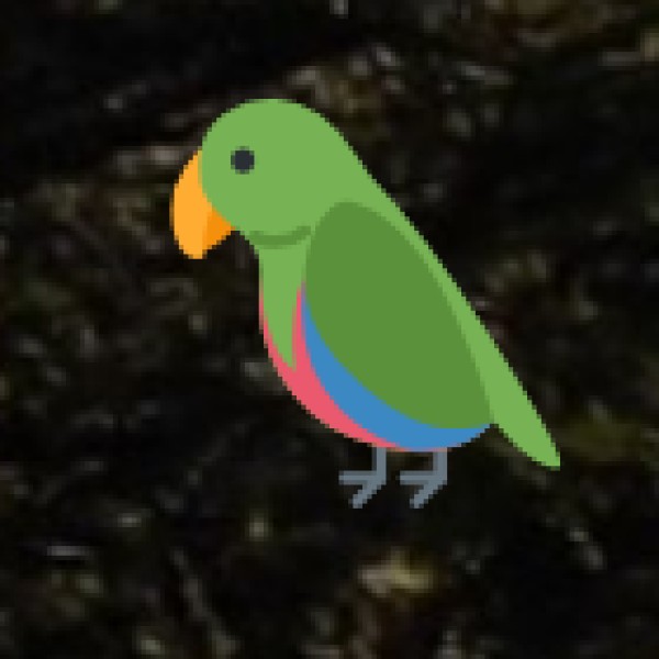 Maharana Pratap Sagar (Pong Dam) – A Birdwatcher’s Paradise