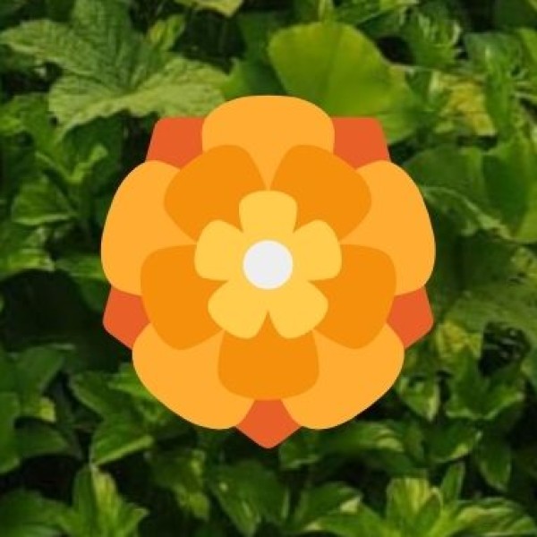 Shingba Rhododendron Sanctuary – The Valley of Flowers