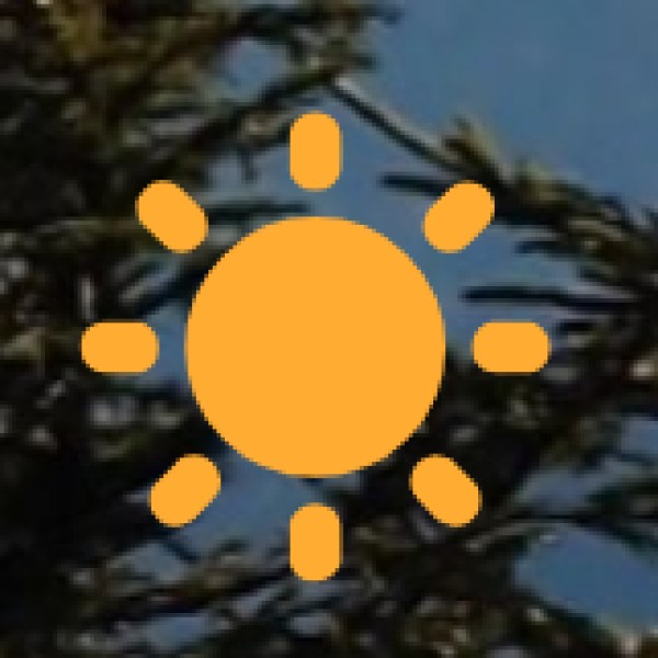 Himalayan Ibex – The King of the Cliffs