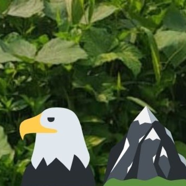 Pangolakha Wildlife Sanctuary – A Lesser-Known Gem