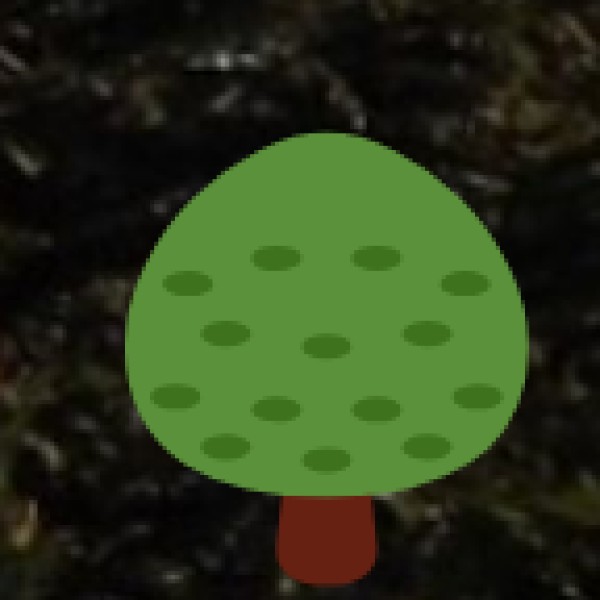 Wild Ass Sanctuary – Little Rann of Kutch