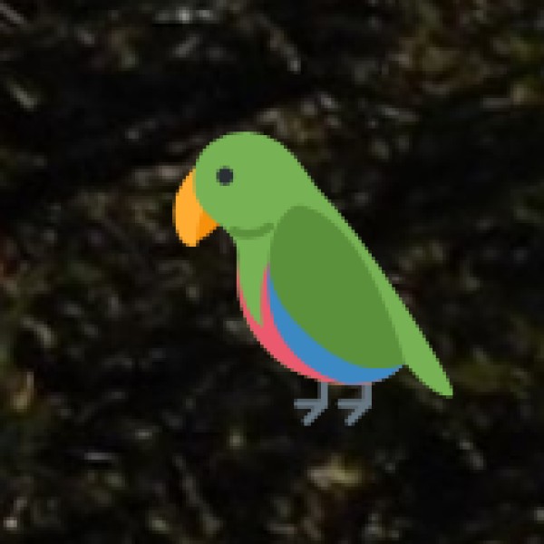 Binsar Wildlife Sanctuary – A Birdwatcher’s Paradise