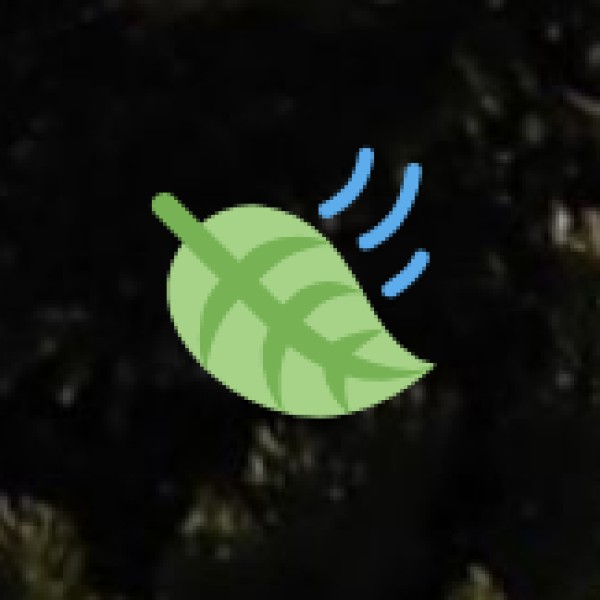 Barsey Rhododendron Sanctuary – A Trekker’s Dream