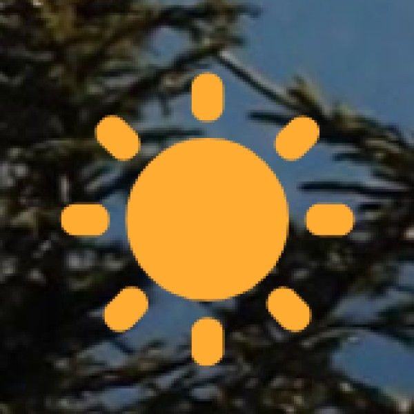 Himalayan Marmot – The Playful Mountain Rodent