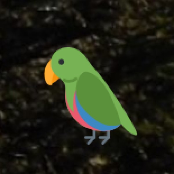 ) Nawabganj Bird Sanctuary (Unnao) – A Paradise for Birdwatchers