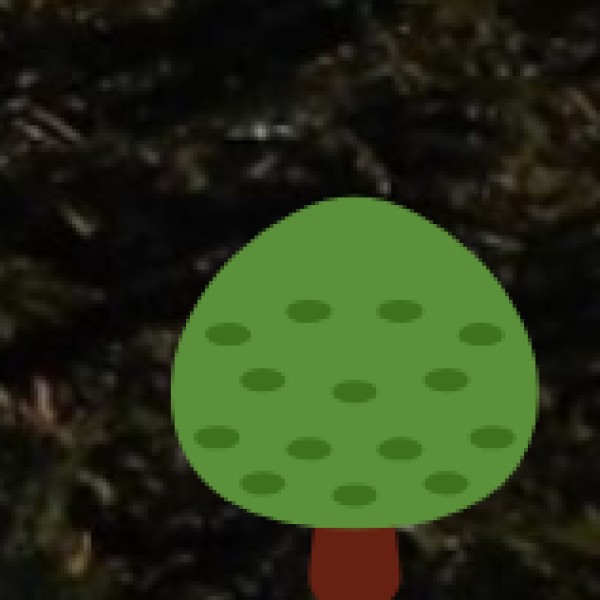 Wildlife & Nature in Ladakh – The Land of High-Altitude Wonders