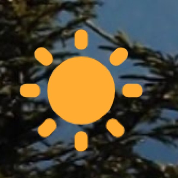 Changthang Wildlife Sanctuary (Ladakh) – The High-Altitude Wonder