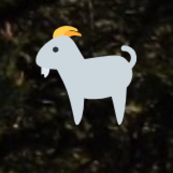 Asola Bhatti Wildlife Sanctuary