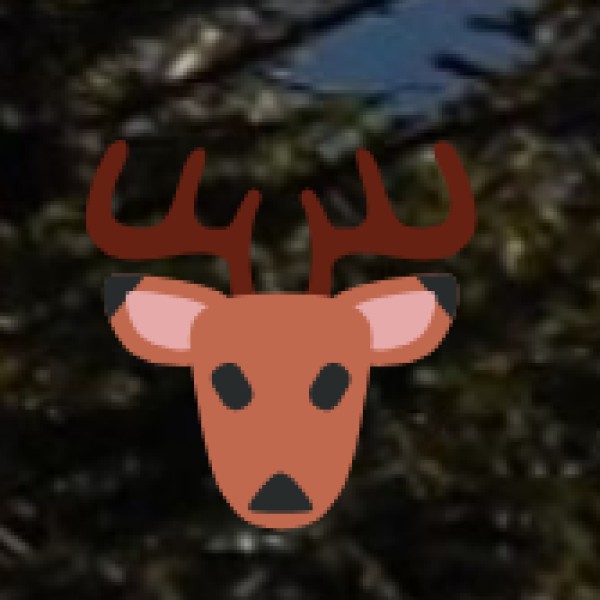 Chail Wildlife Sanctuary – Home to the Majestic Himalayan Deer