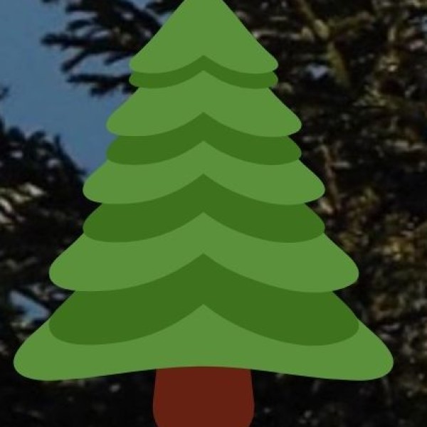 Adventure & Nature Activities