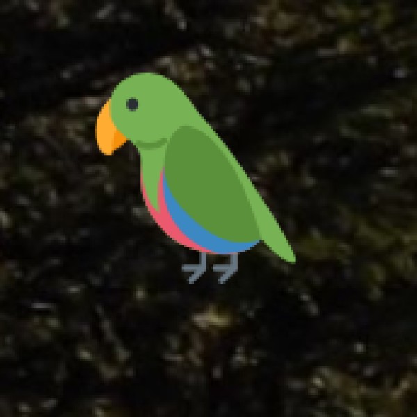 Bird Watching Hotspots